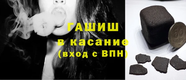 сатива Каменка