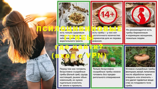 прущие грибы Костерёво
