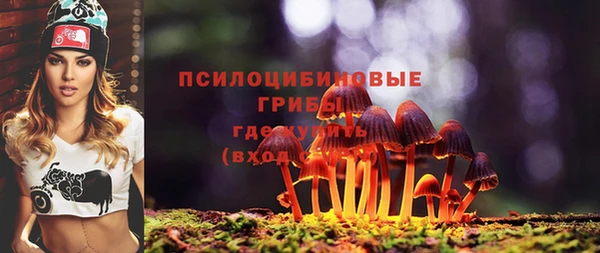 гидропоника Киреевск