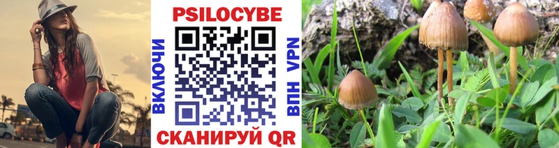 Псилоцибиновые грибы мицелий  Купить где  Кизилюрт 